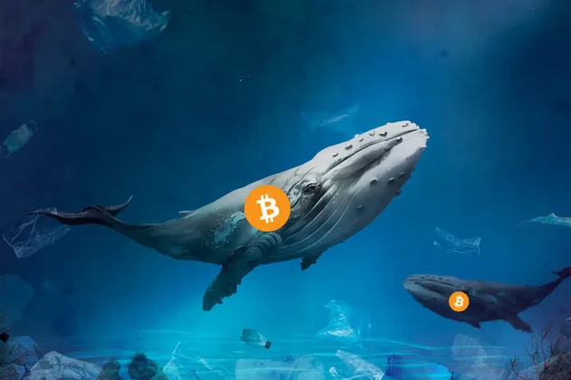 What are whales buying in preparation for June?
