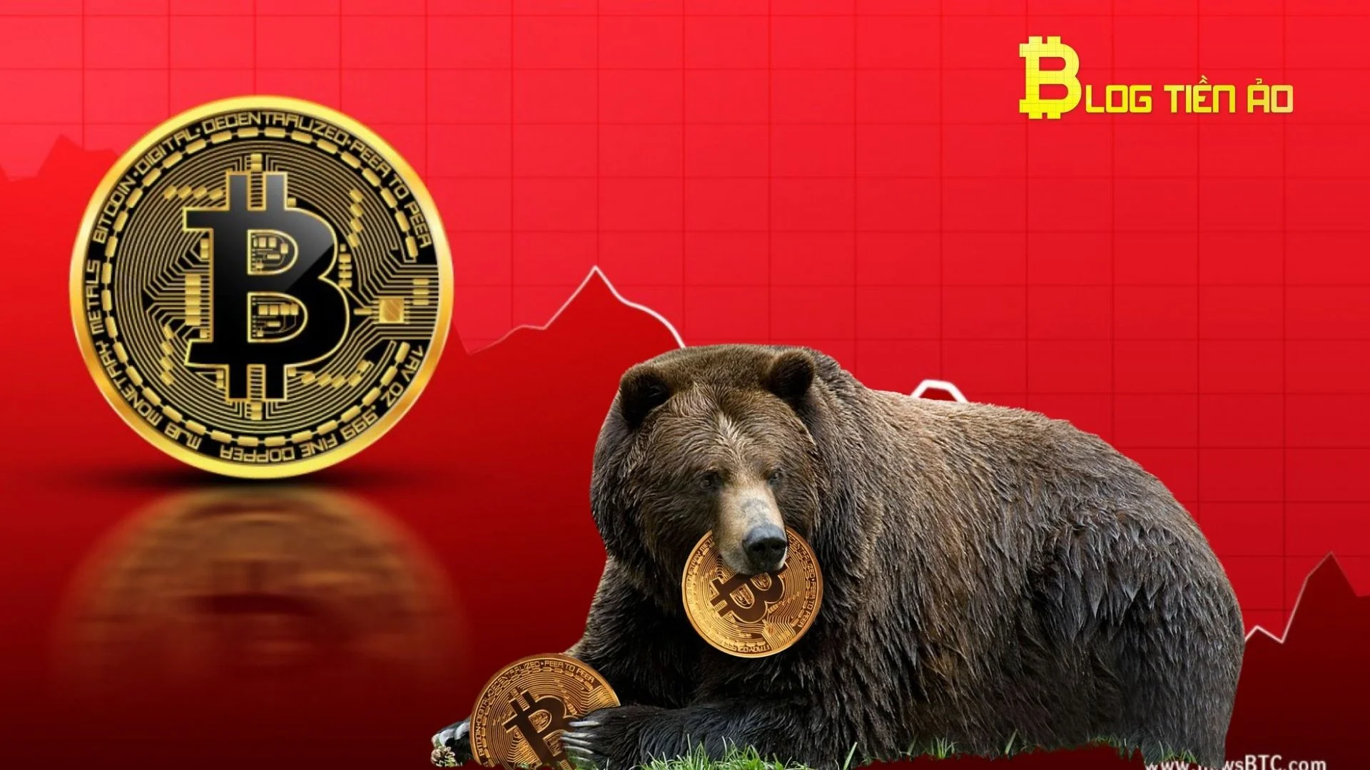 Is Bitcoin Entering a Bear Cycle? If so, how low could BTC fall?