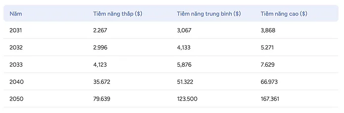 5.webp